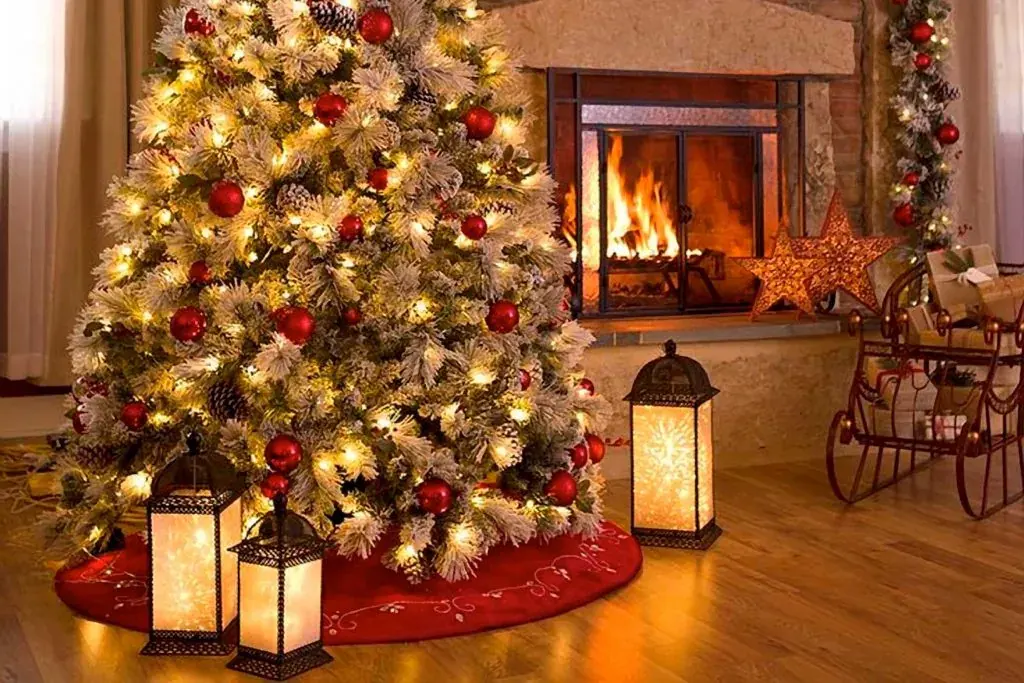 Picking Out a Christmas Tree