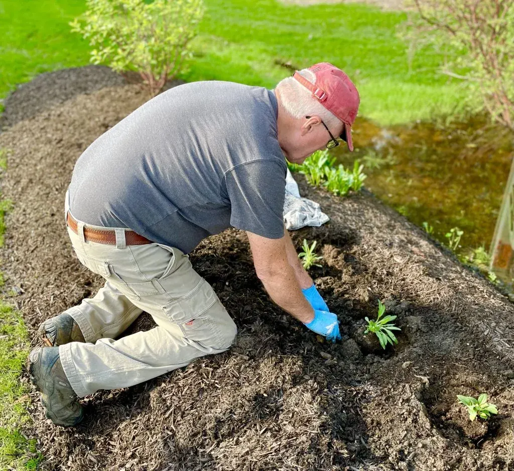 Planning Your Garden For Spring
