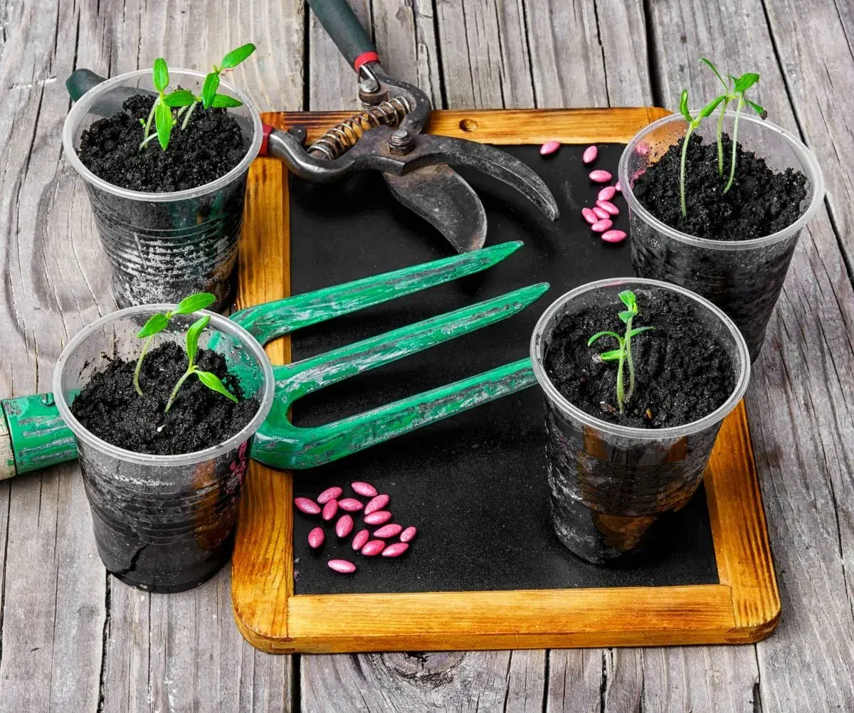 Why Compost is the Greatest Thing You Can Do For the Environment