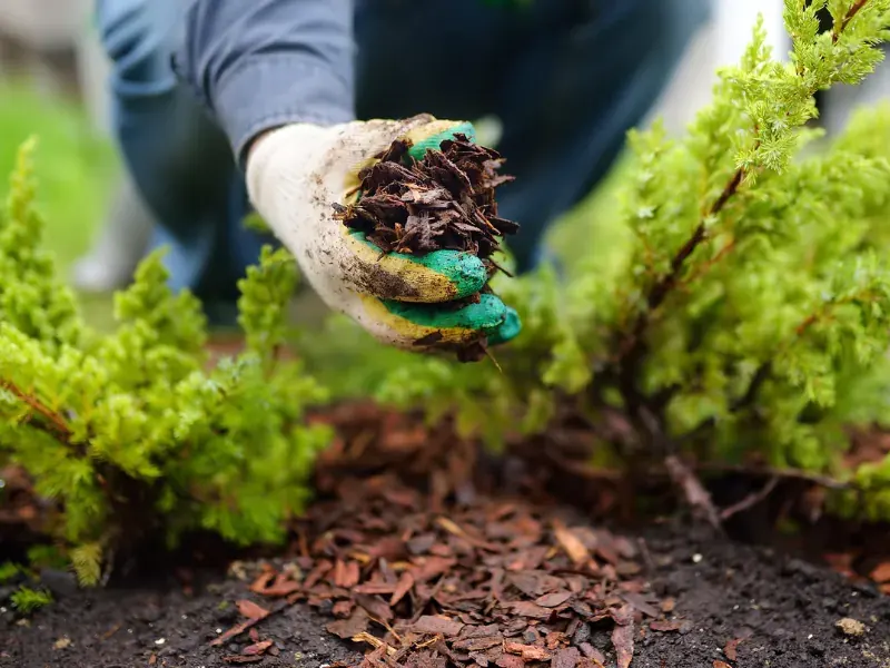 Winter Garden Prep in 3 Steps