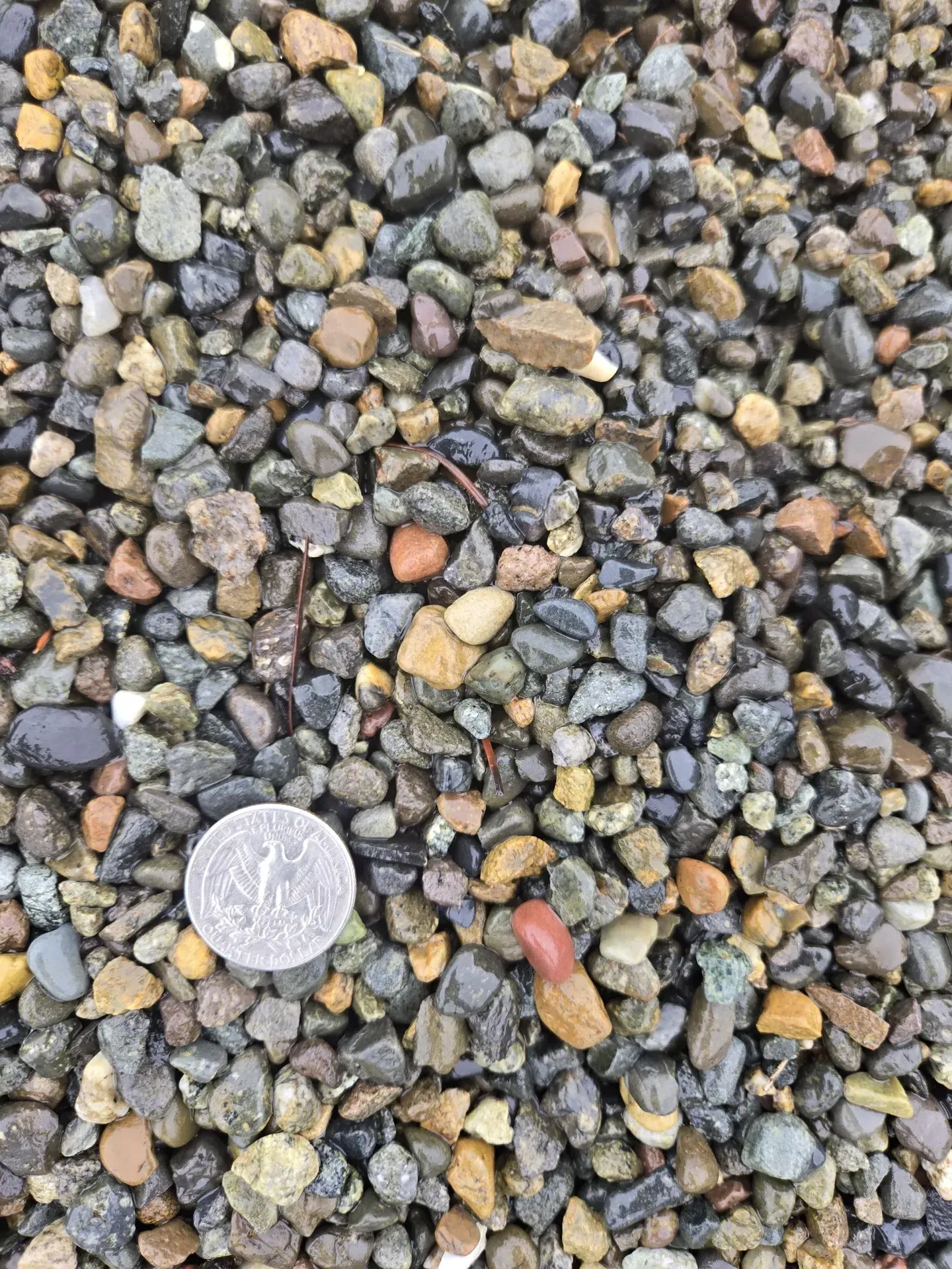 Pea Gravel — G&L Bark & Supply
