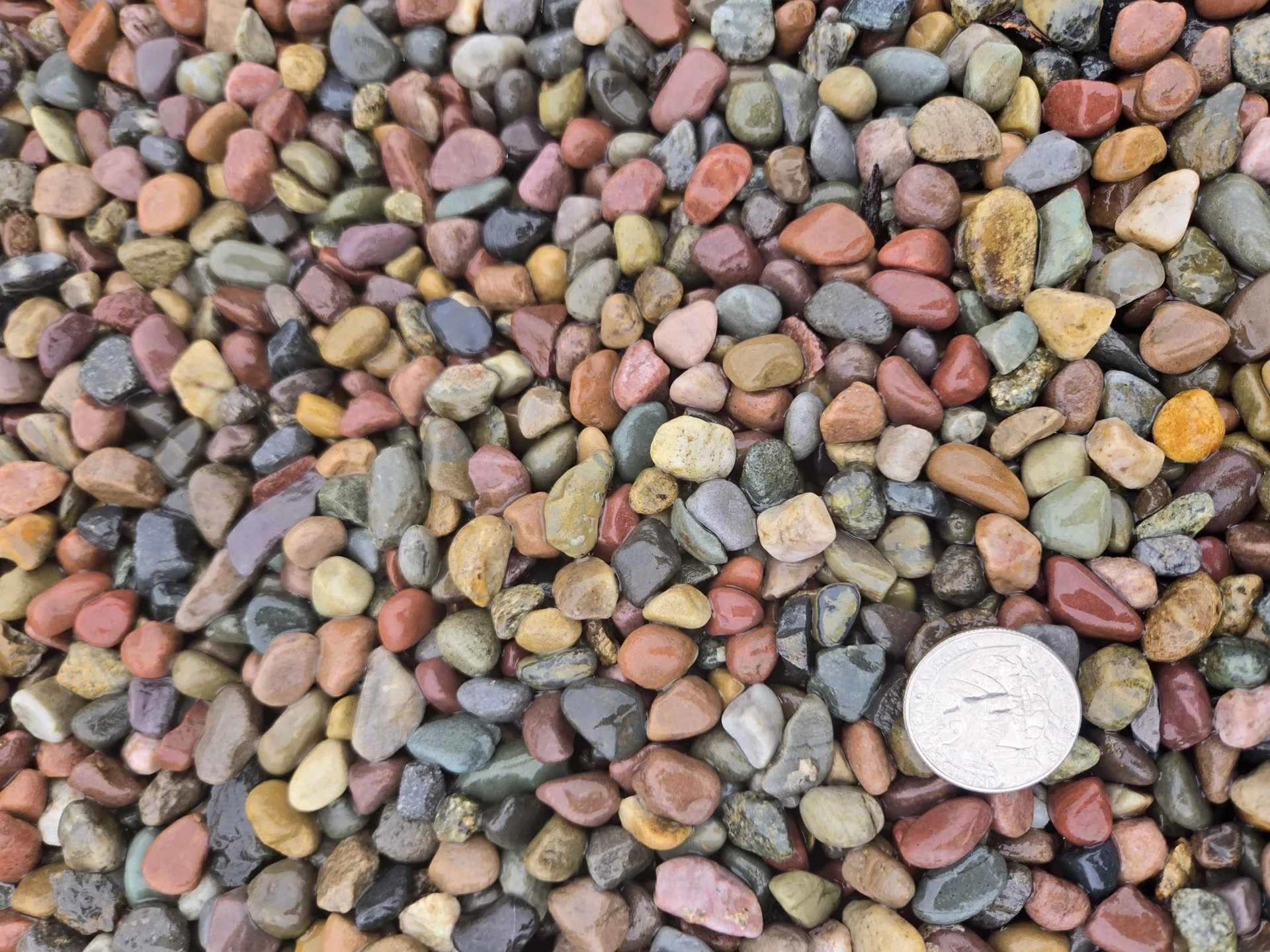7/8" Rainbow Pea Gravel — G&L Bark & Supply