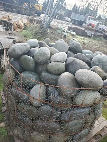 Mexican Beach Pebble additional photo 8