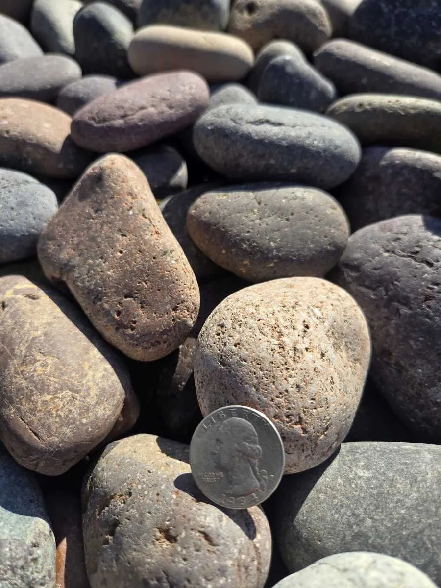 1/2-inch Mixed Mexican Beach Pebble