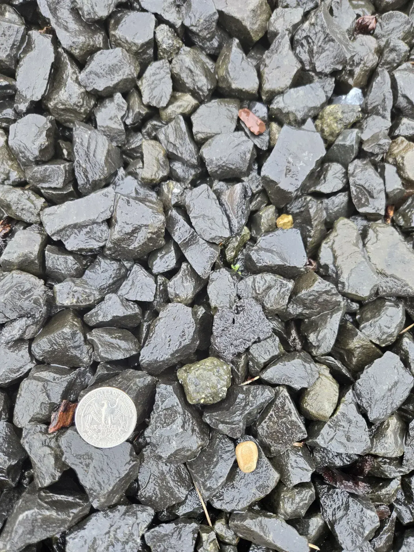 Crushed Black Rock