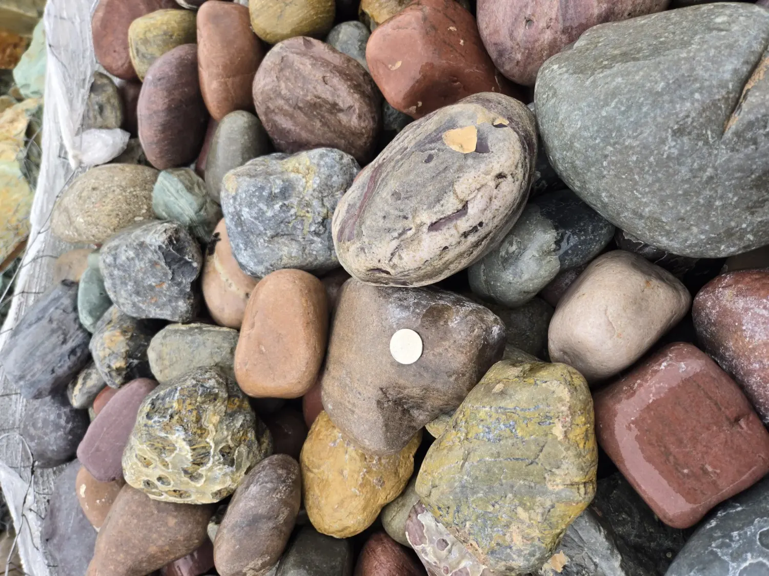 Rainbow Cobble 3–5"