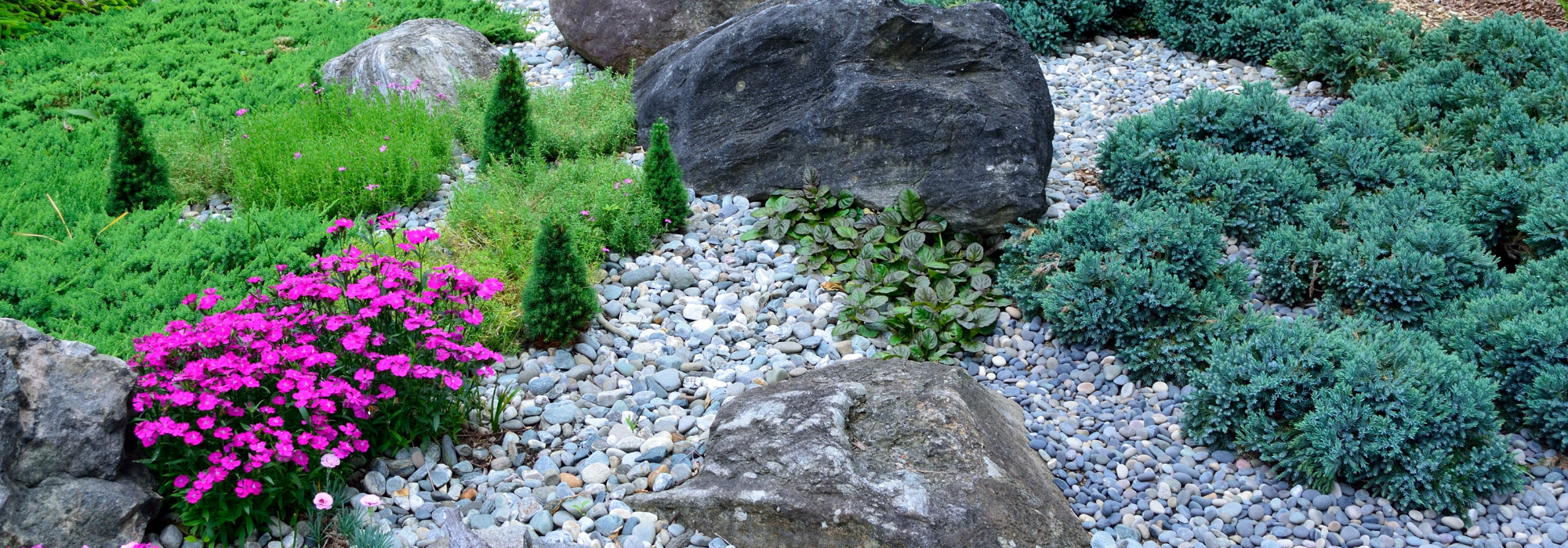 use rock in your garden