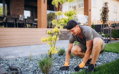 Landscaping with Gravel: Simple, Beautiful Ways to Use Crushed Rock, River Rock, Pea Gravel, and More